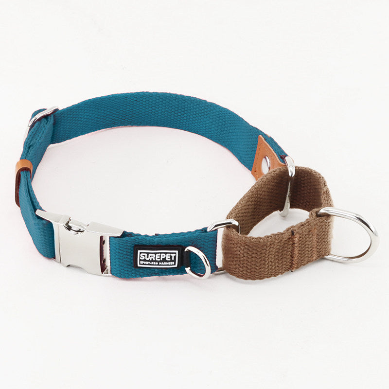 Blue / Brown martingale dog collar with silver metal buckle