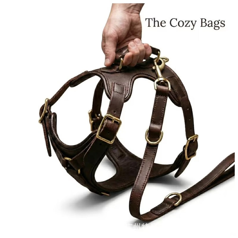 Brown Brown Leather Dog Harness & Leash Set