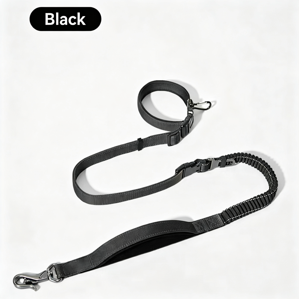 Ivory Black multifunctional no-pull dog leash [PZ-908599739130-storefront-v2-black]