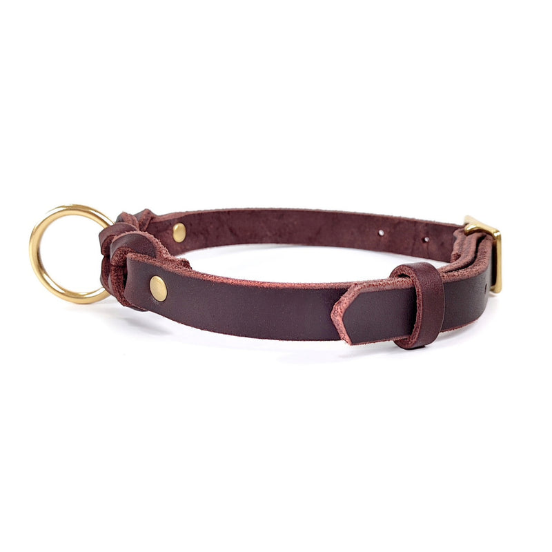 Collars & Leashes