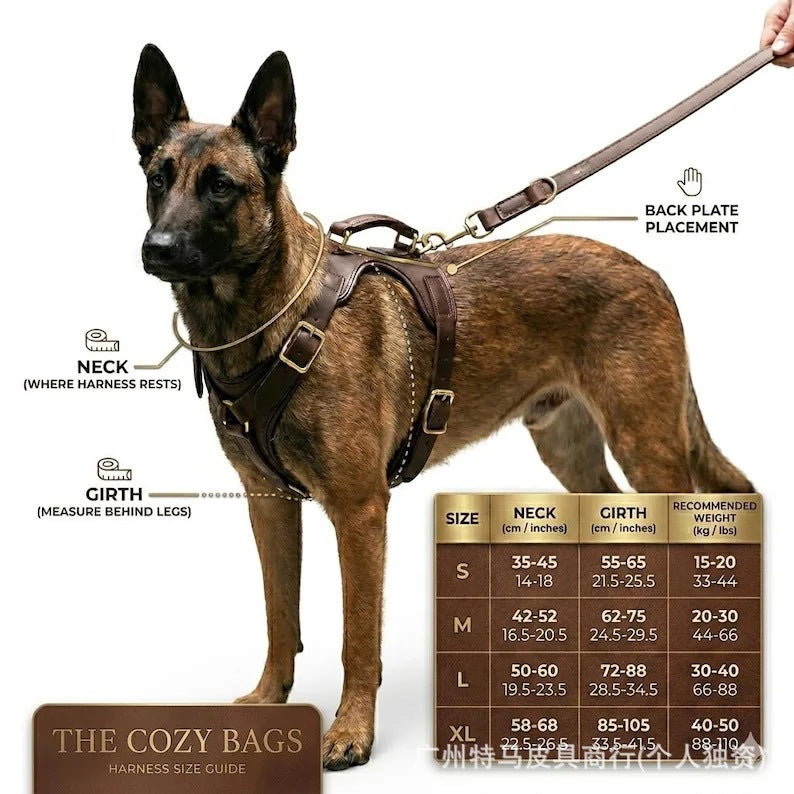 Brown Leather Dog Harness & Leash Set product detail [PZ-1056134506068-detail-13]
