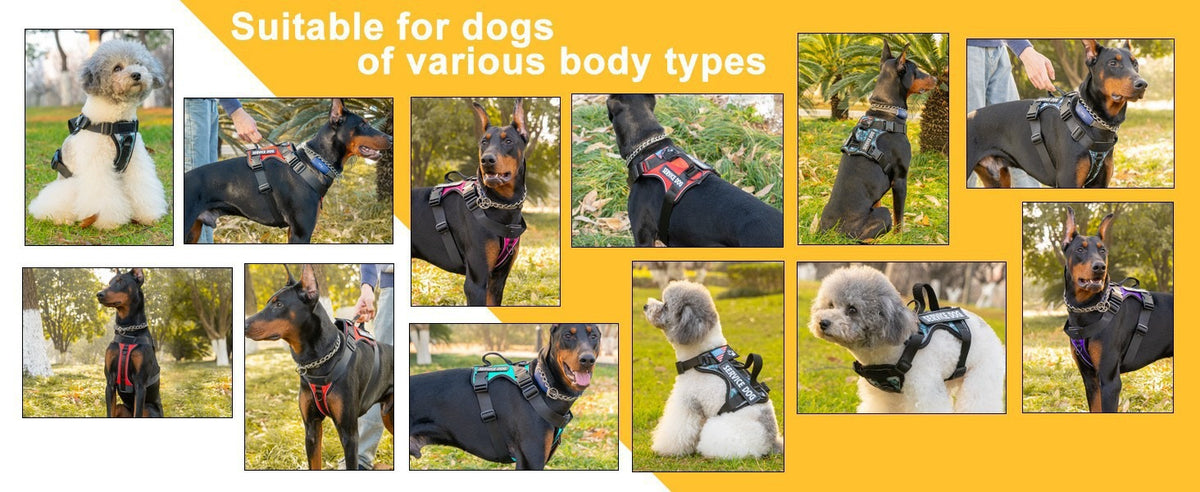 Four-Piece Tactical Dog Harness Set product detail [PZ-1047704330660-detail-15]
