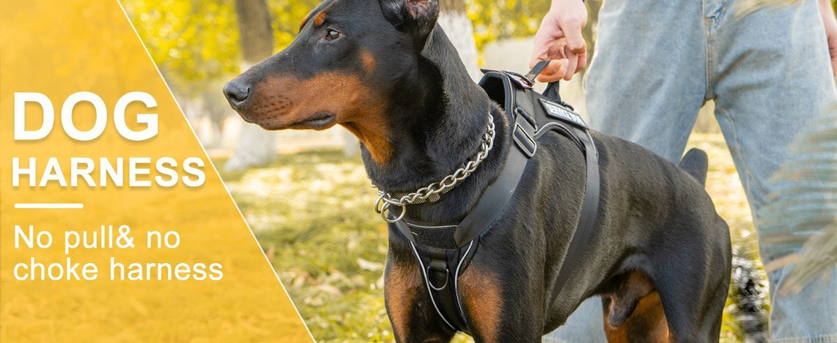 Four-Piece Tactical Dog Harness Set product detail [PZ-1047704330660-detail-16]