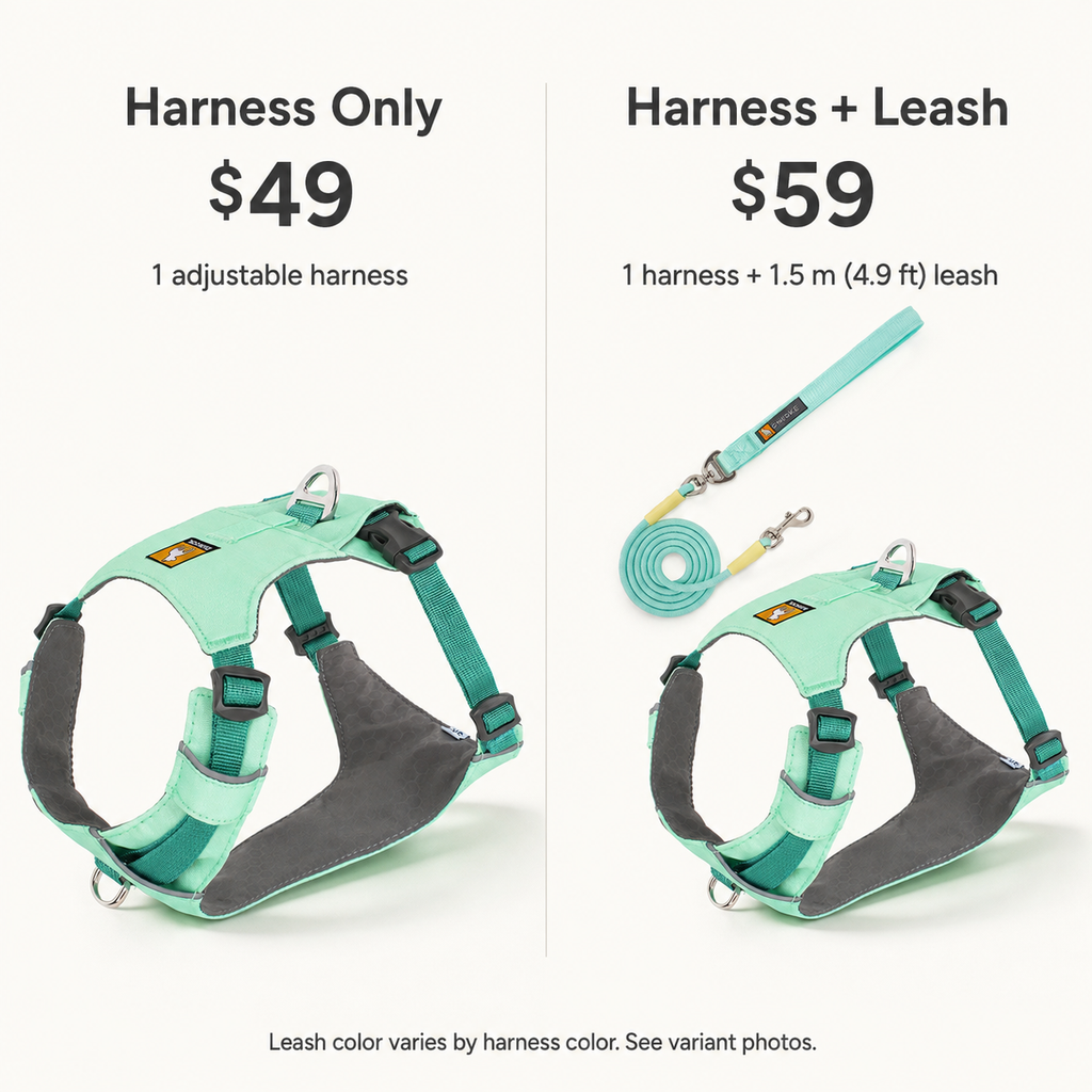 Everyday color dog harness — comparison [PZ-1071250706403-comparison]