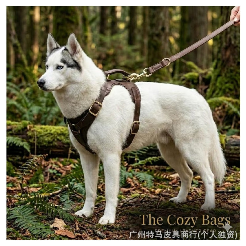Brown Leather Dog Harness & Leash Set product detail [PZ-1056134506068-detail-14]