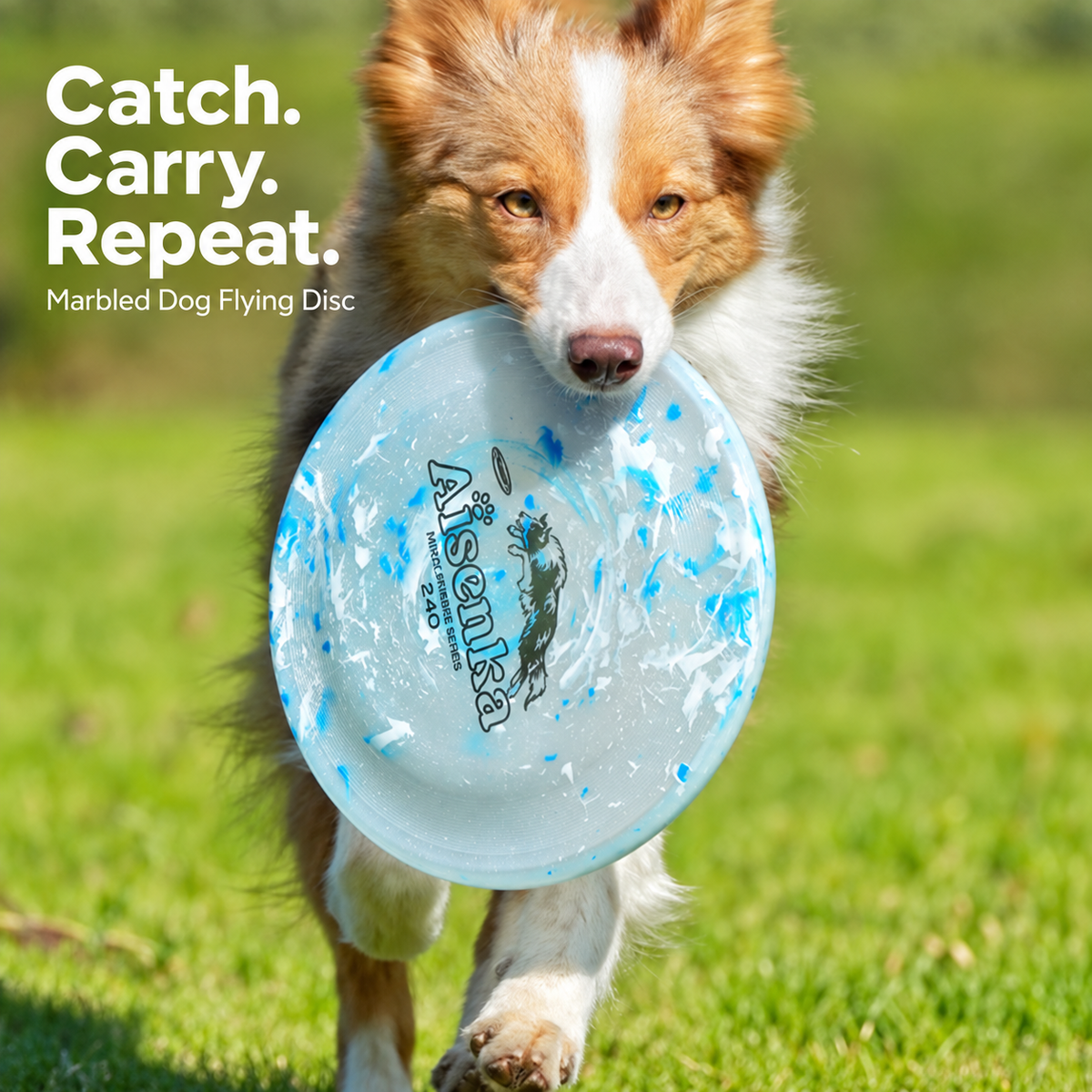 Dog carrying a translucent blue and white marbled flying disc outdoors [PZ-1052655658944-hero]