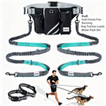 Kudi Hands-Free Running Dog Traction Leash Waist Pack Set - product image 1 [PZ-1052734539082-localized-1]