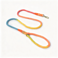 Dog Collars and Fixed-Length Leashes with Gold-Tone Hardware - product image 1 [PZ-967702433562-localized-1]