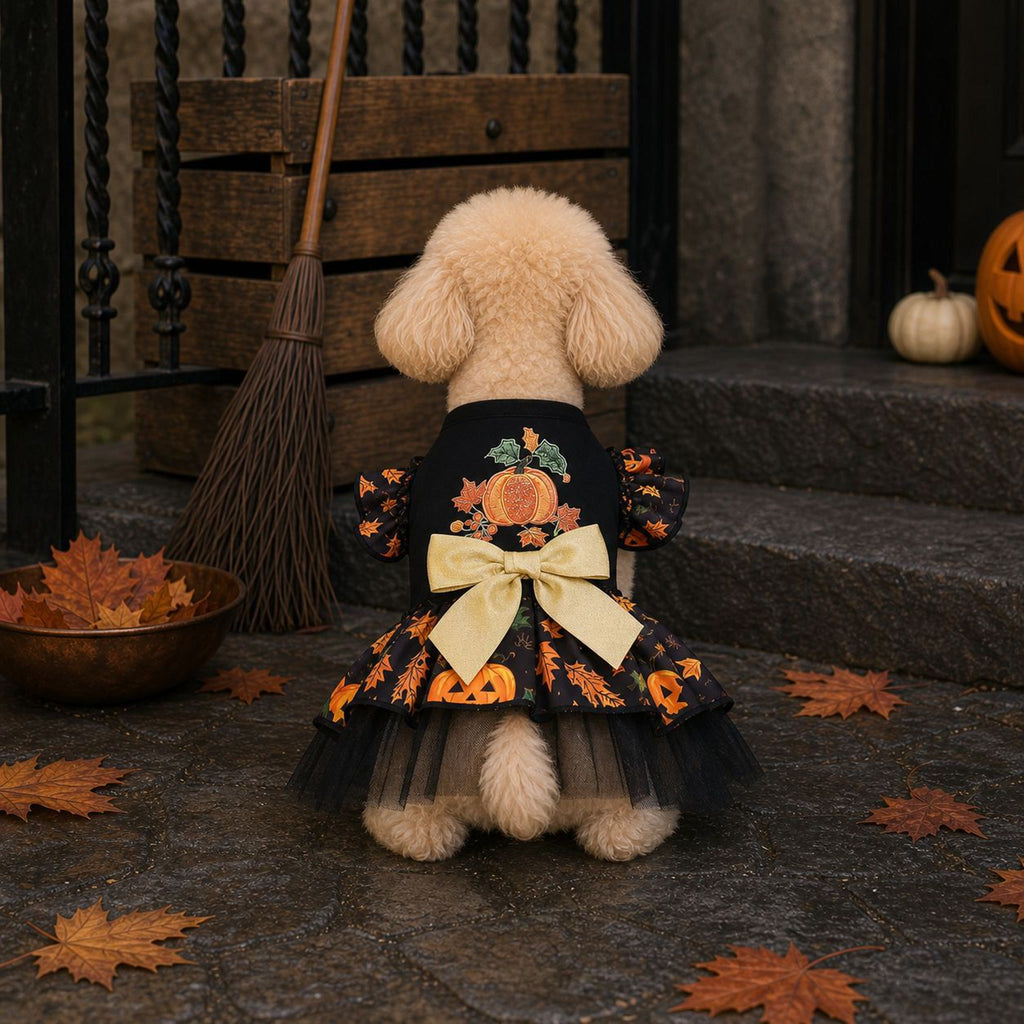 Dog Witch Costume Dress - product image 1 [PZ-1071396838212-localized-1]