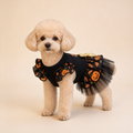 Dog Witch Costume Dress - product image 5 [PZ-1071396838212-localized-6]