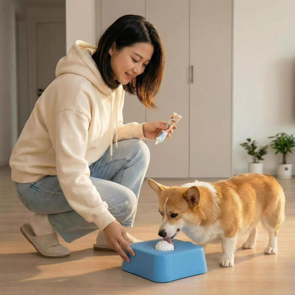 ABS Dog Toy - product image 3 [PZ-1061668684275-localized-3]