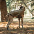 Vest-Style Polyester Dog Jacket - product image 2 [PZ-732920777980-localized-2]