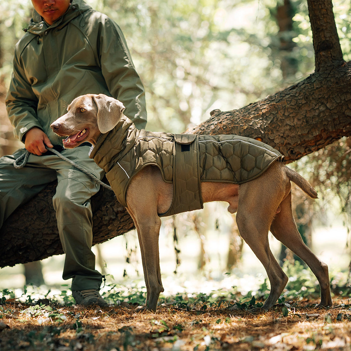 Vest-Style Polyester Dog Jacket - product image 3 [PZ-732920777980-localized-3]