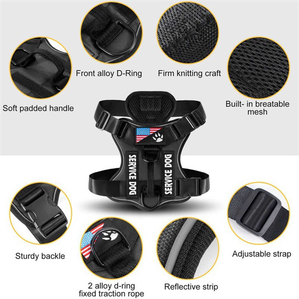 Nylon Dog Harness Set - product image 3 [PZ-887379269710-localized-3]