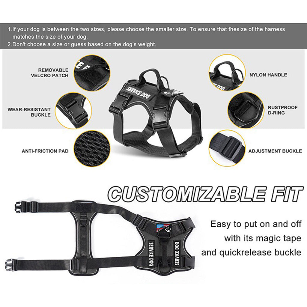 Nylon Dog Harness Set - product image 6 [PZ-887379269710-localized-7]