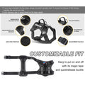 Nylon Dog Harness Set - product image 6 [PZ-887379269710-localized-7]