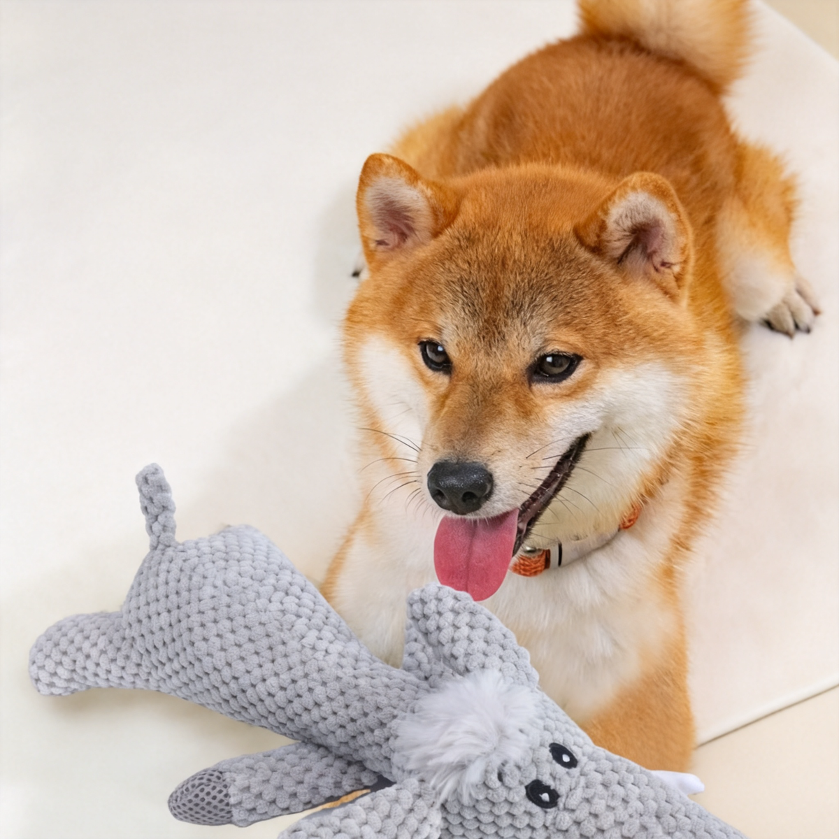 Plush Squeaky Dog Toy - product image 2 [PZ-837544515749-localized-2]