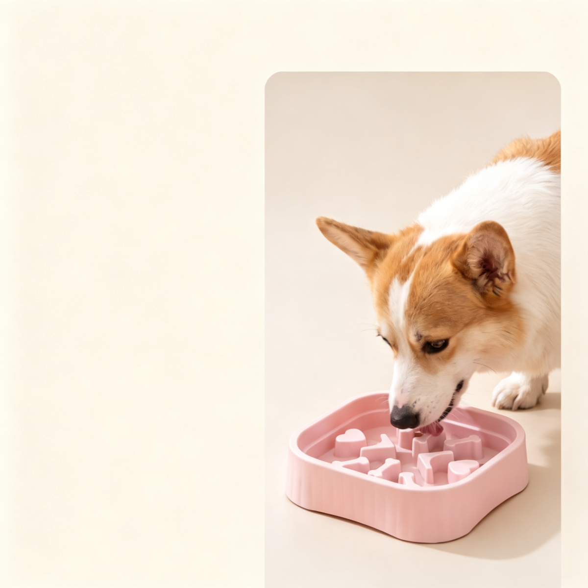 Macaron Pet Slow Feeder Bowl - product image 2 [PZ-1082069492390-localized-2]