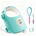 Green Polyester Dog Harness & Leash Set — Size L - product image 2 [PZ-868086702099-localized-7]