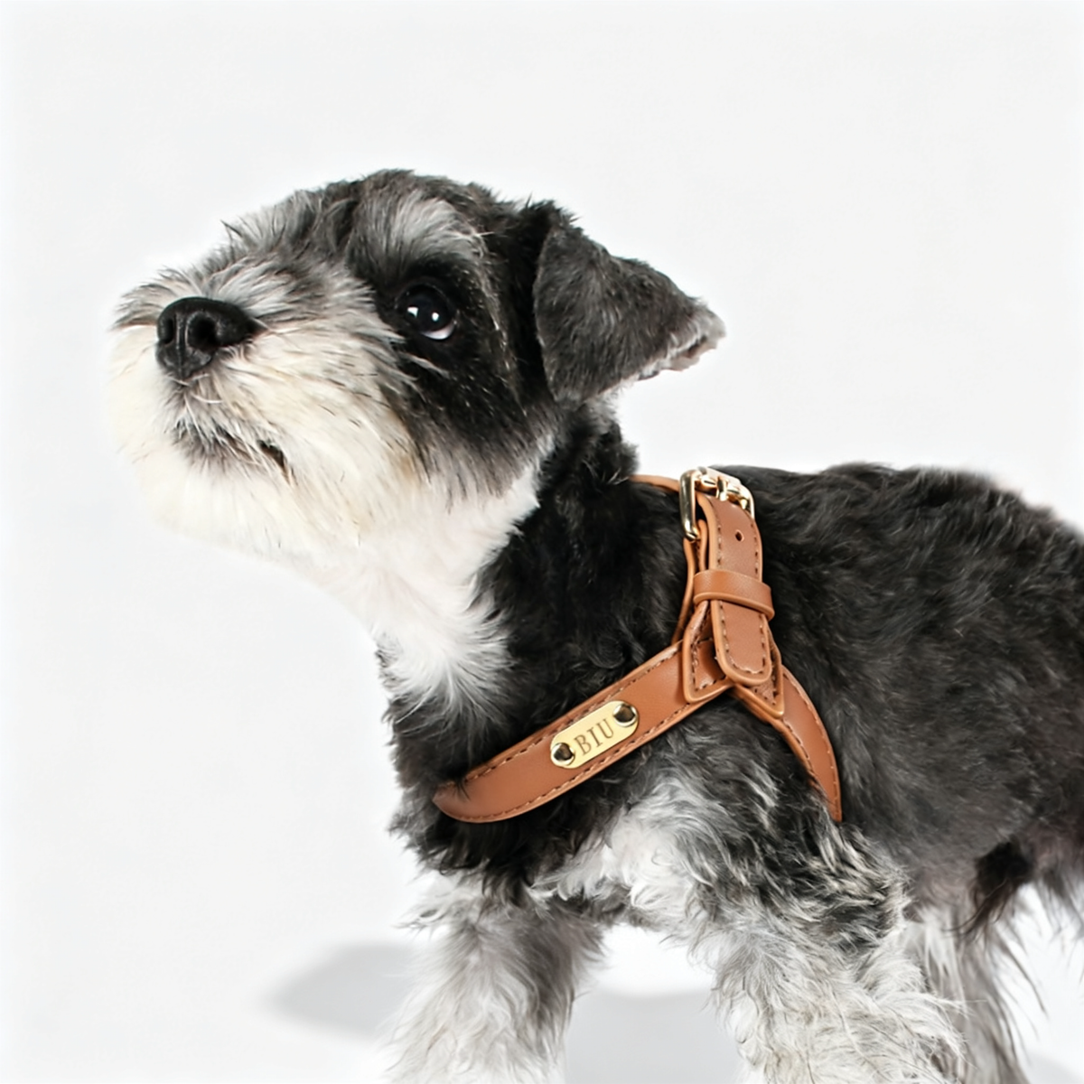 Fixed-Length Leather Dog Chest Harness - product image 1 [PZ-968313024535-localized-1]