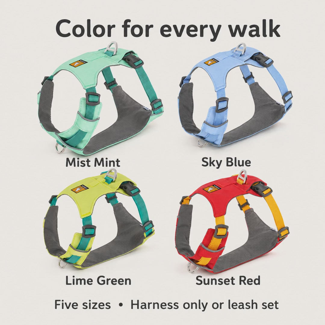 Everyday color dog harness — image-based product introduction [PZ-1071250706403-intro]