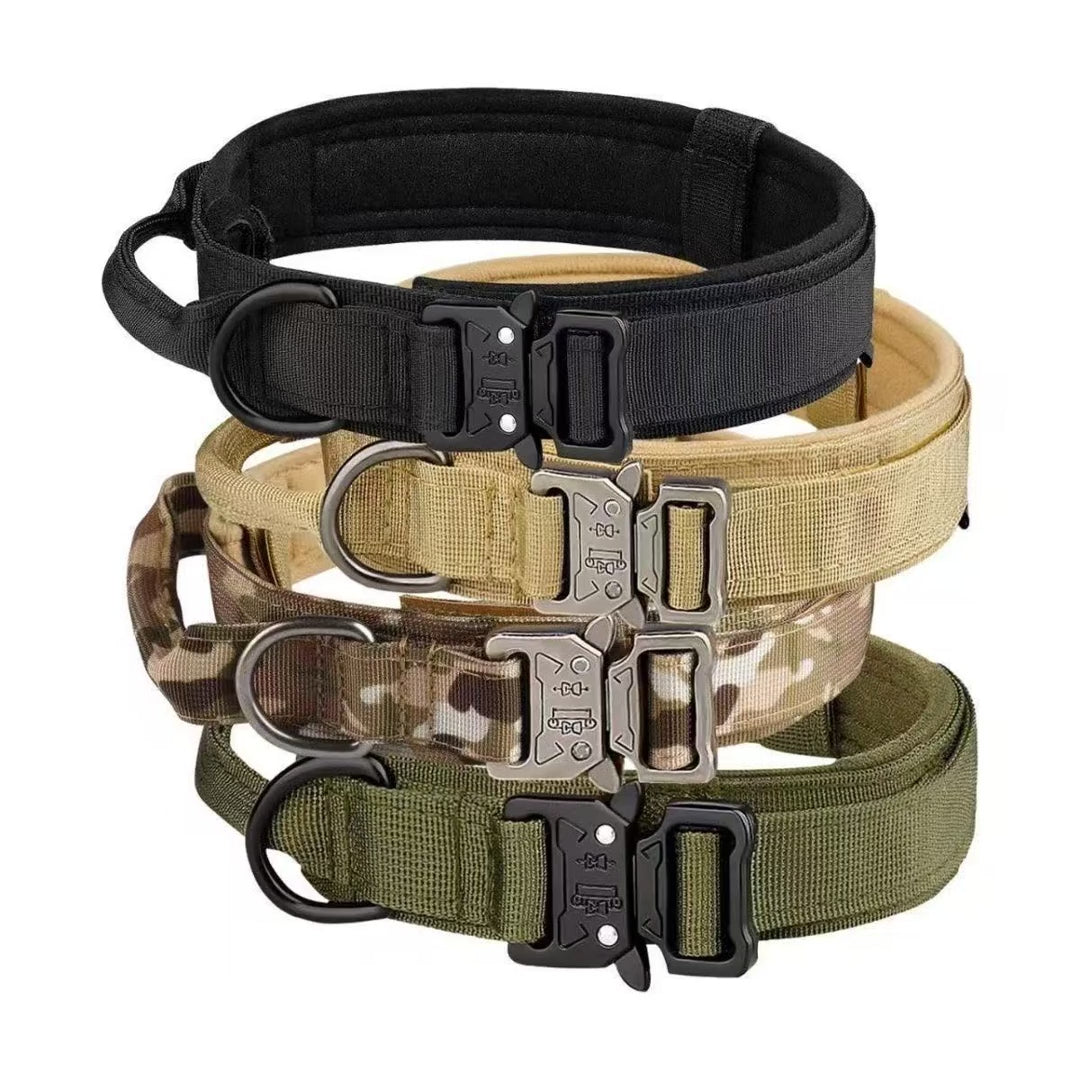 Image-based introduction to Padded Tactical Dog Collar [PZ-1059869405213-intro]