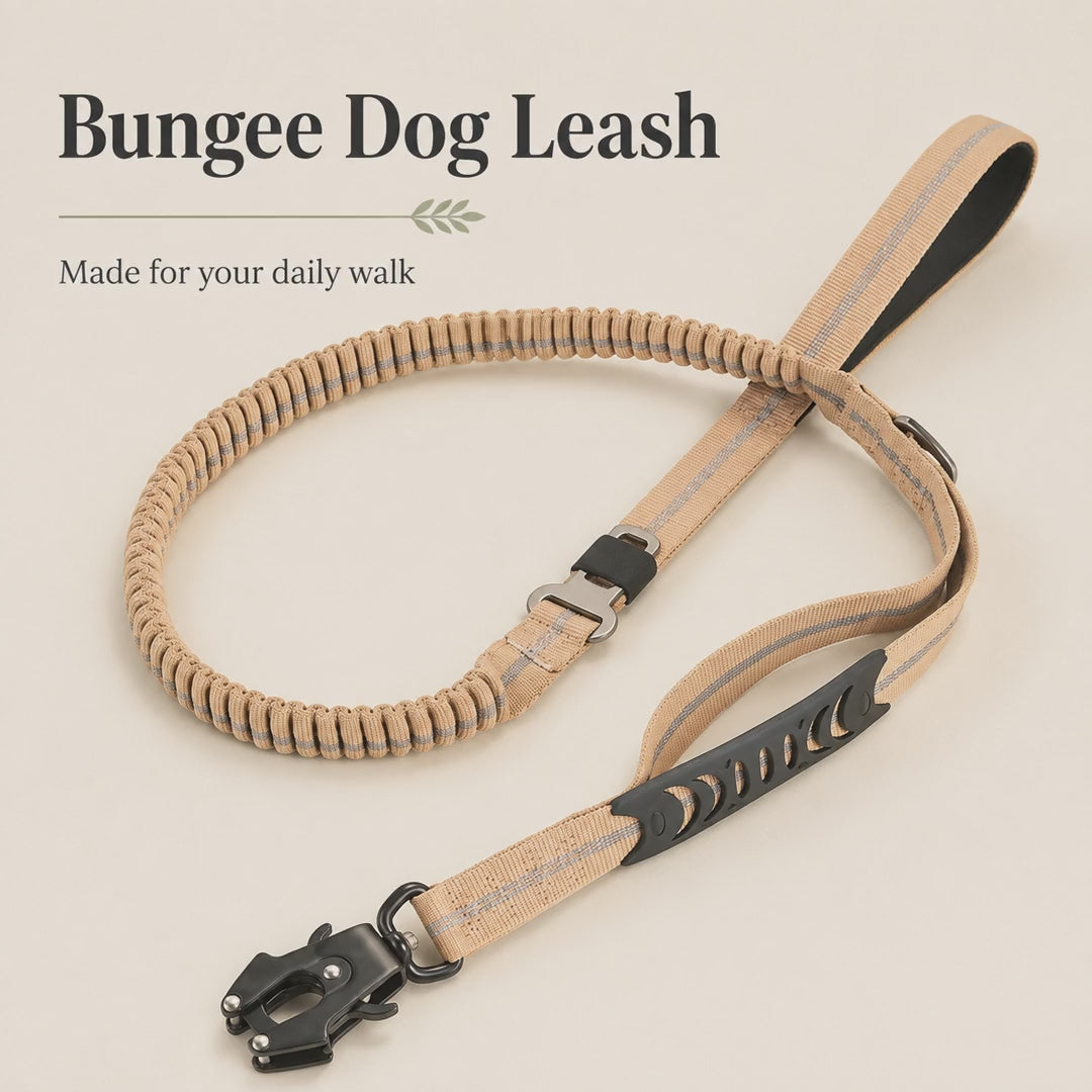 Leash introduction: 24-second silent image slideshow [PZ-83be951ce0]