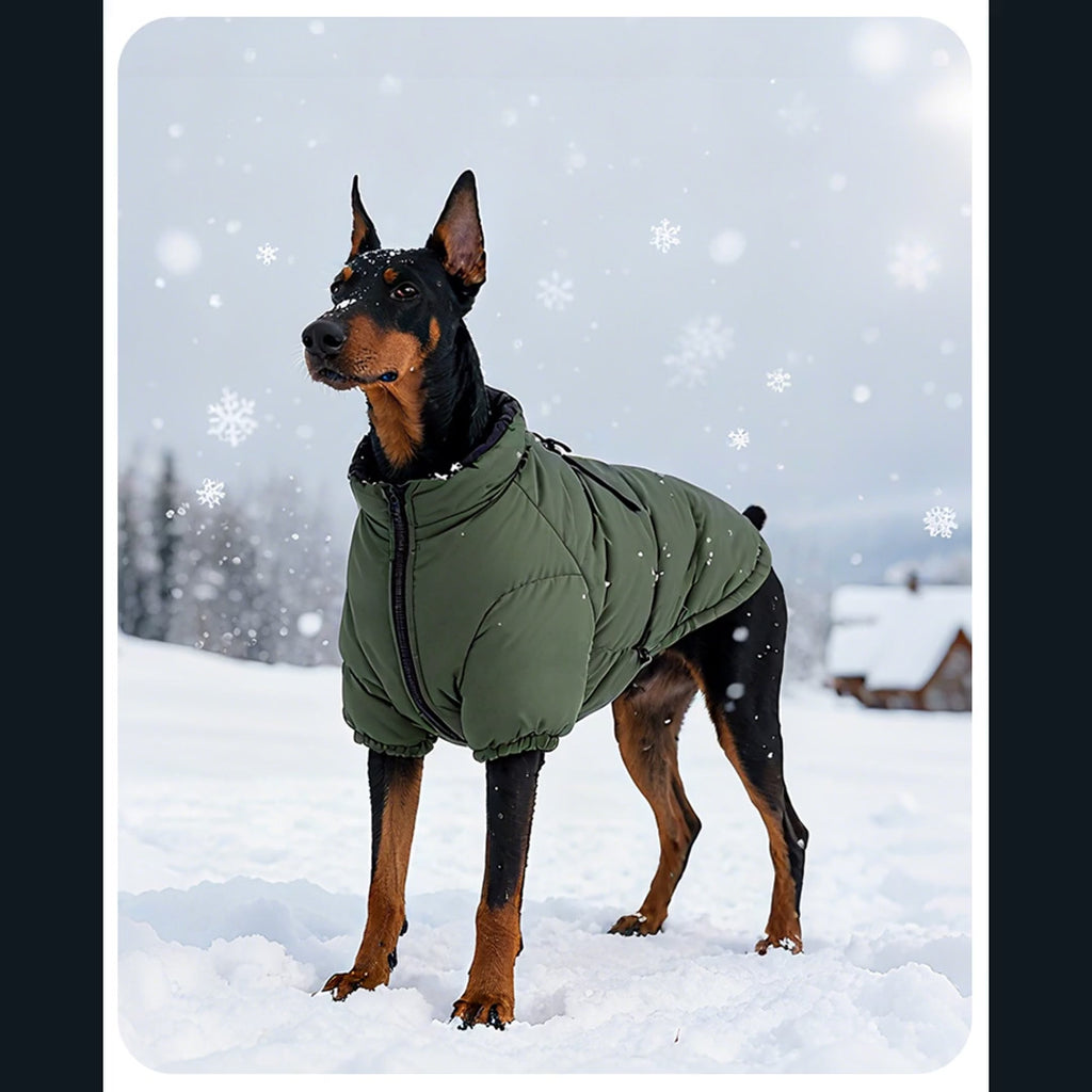 Image-based introduction to Insulated Large Dog Winter Coat [PZ-979376684652-intro]