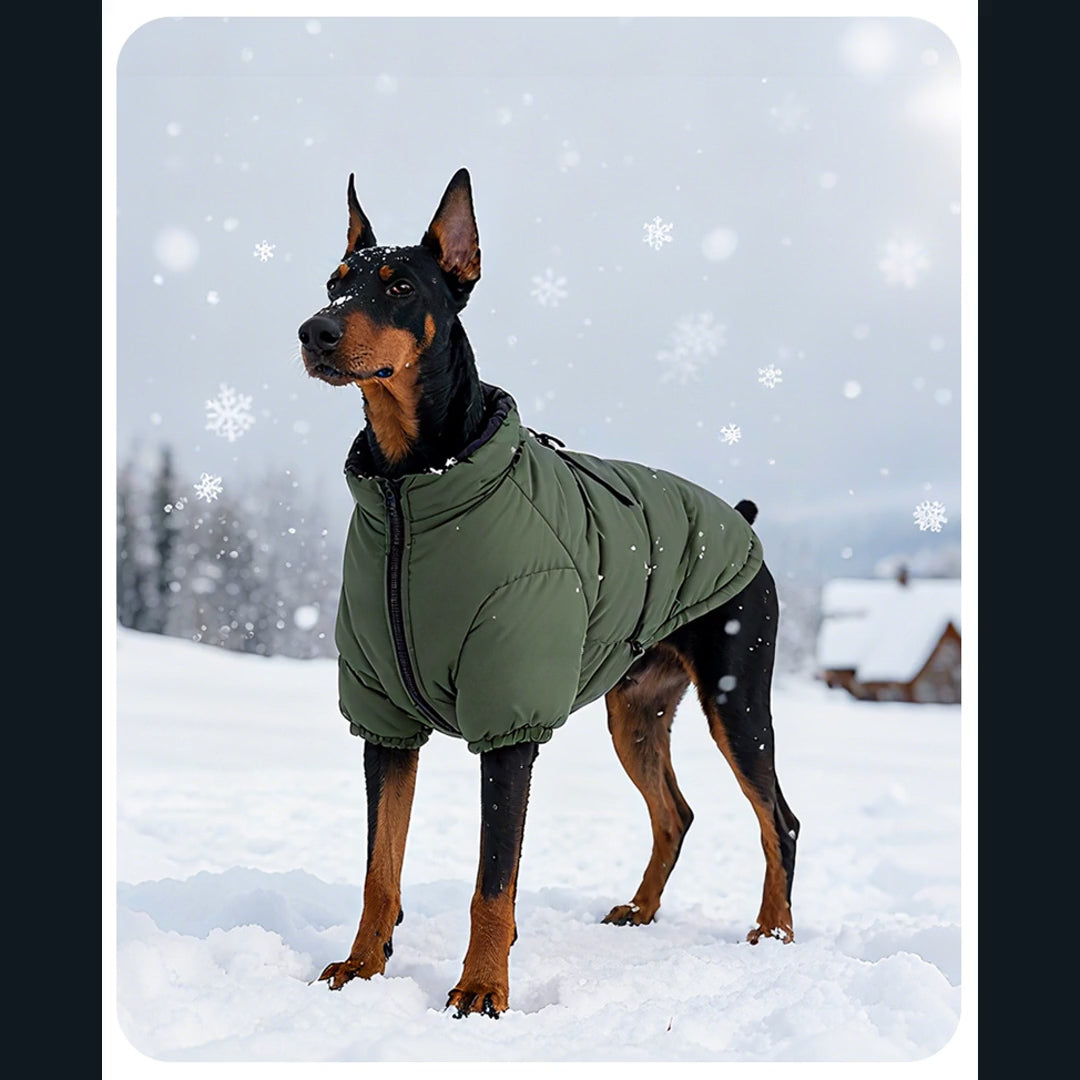 Image-based introduction to Insulated Large Dog Winter Coat [PZ-979376684652-intro]
