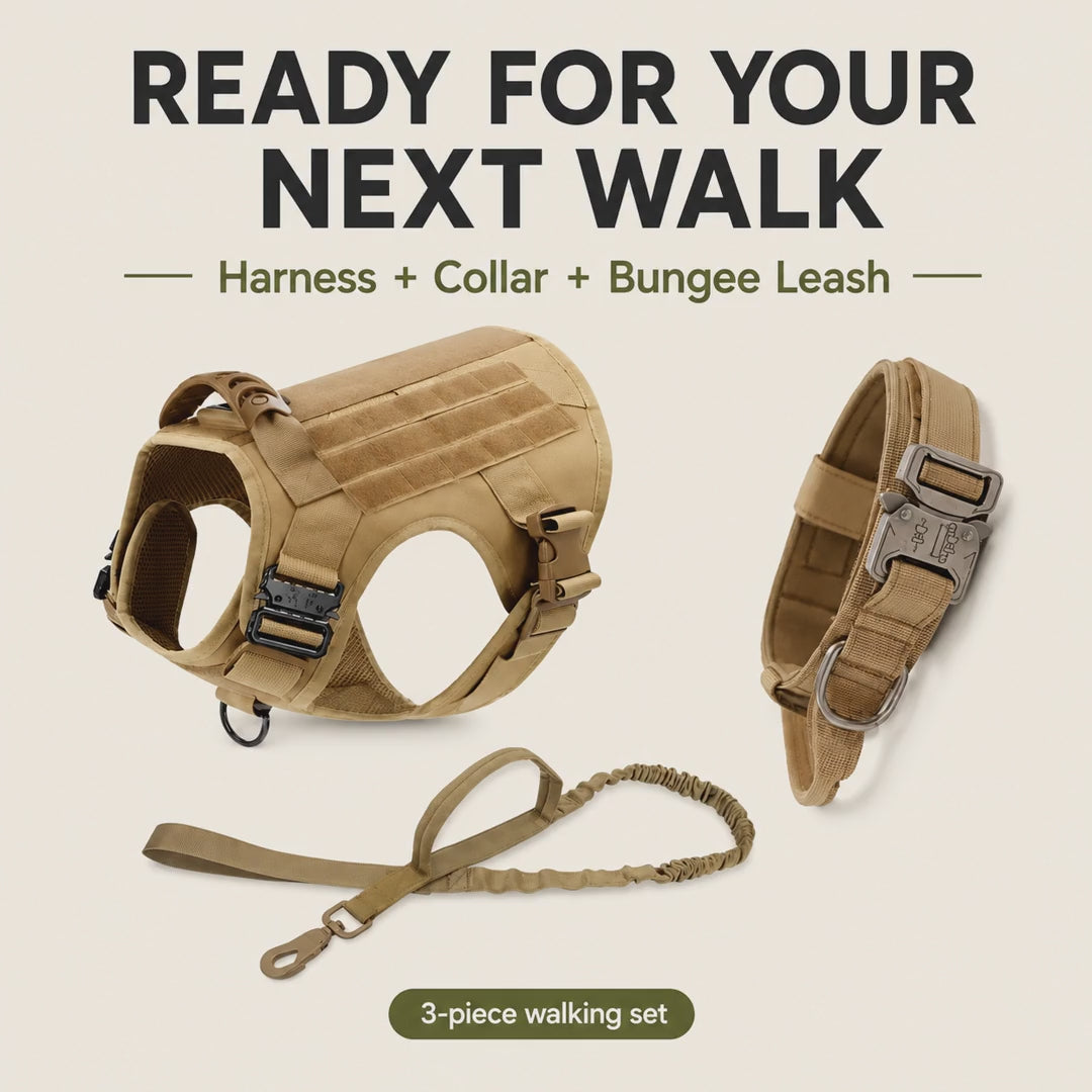 Tactical harness, collar and bungee leash set — image-based product introduction [PZ-1059684274128-intro]